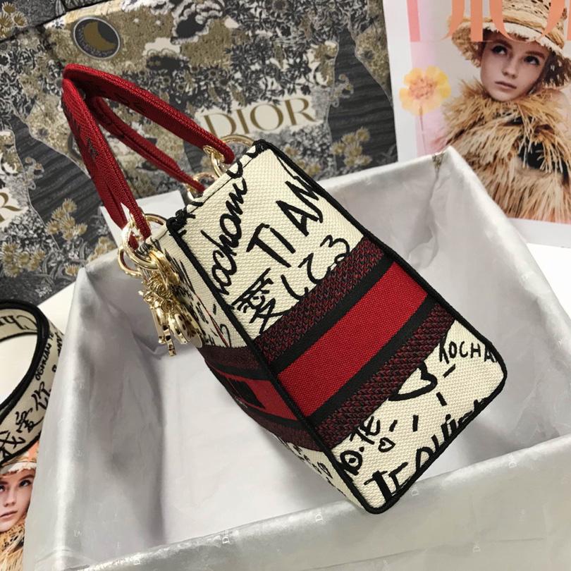 Dior Lady D-Lite Bag Embroidered Canvas (24-20-11cm) - FashionPlug