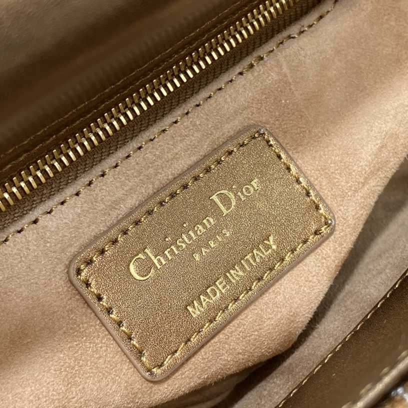 Dior Mini Lady Dior Bag - FashionPlug
