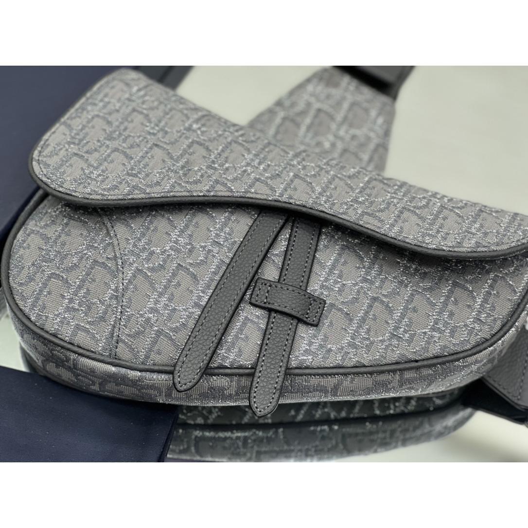 Dior Saddle Bag - FashionPlug