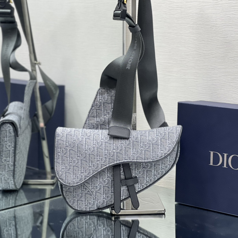 Dior Saddle Bag - FashionPlug