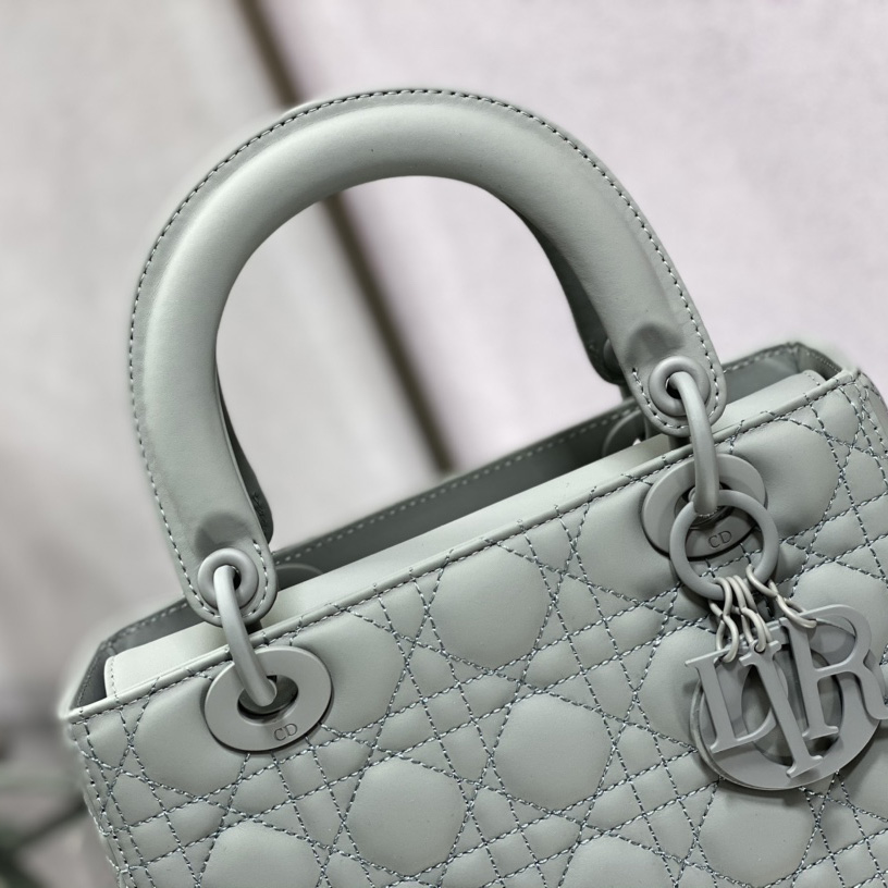 Dior Medium Lady Dior Bag - FashionPlug