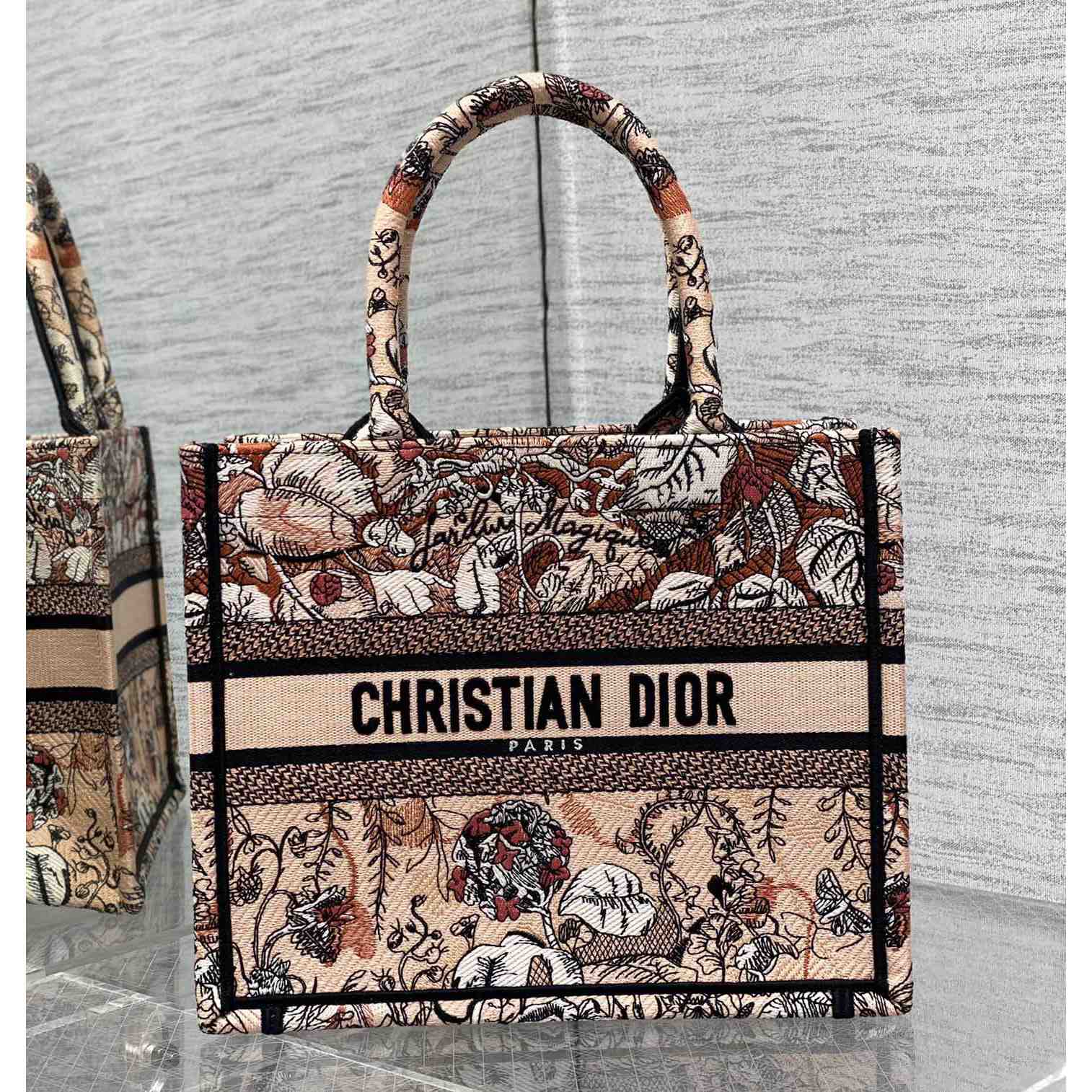 Dior Small Dior Book Tote - FashionPlug