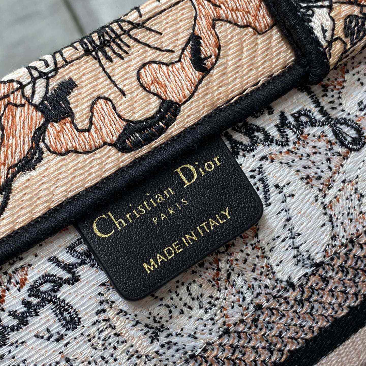 Dior Small Dior Book Tote - FashionPlug