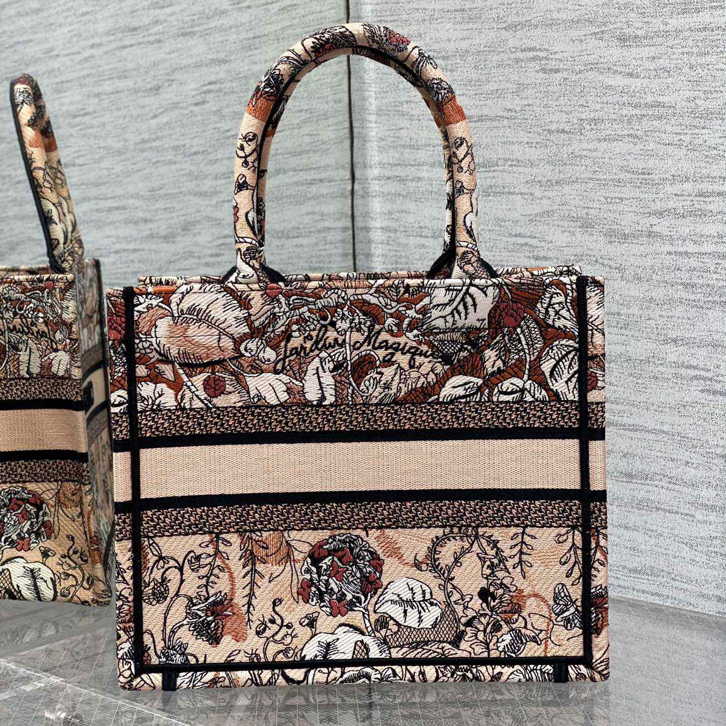 Dior Small Dior Book Tote - FashionPlug