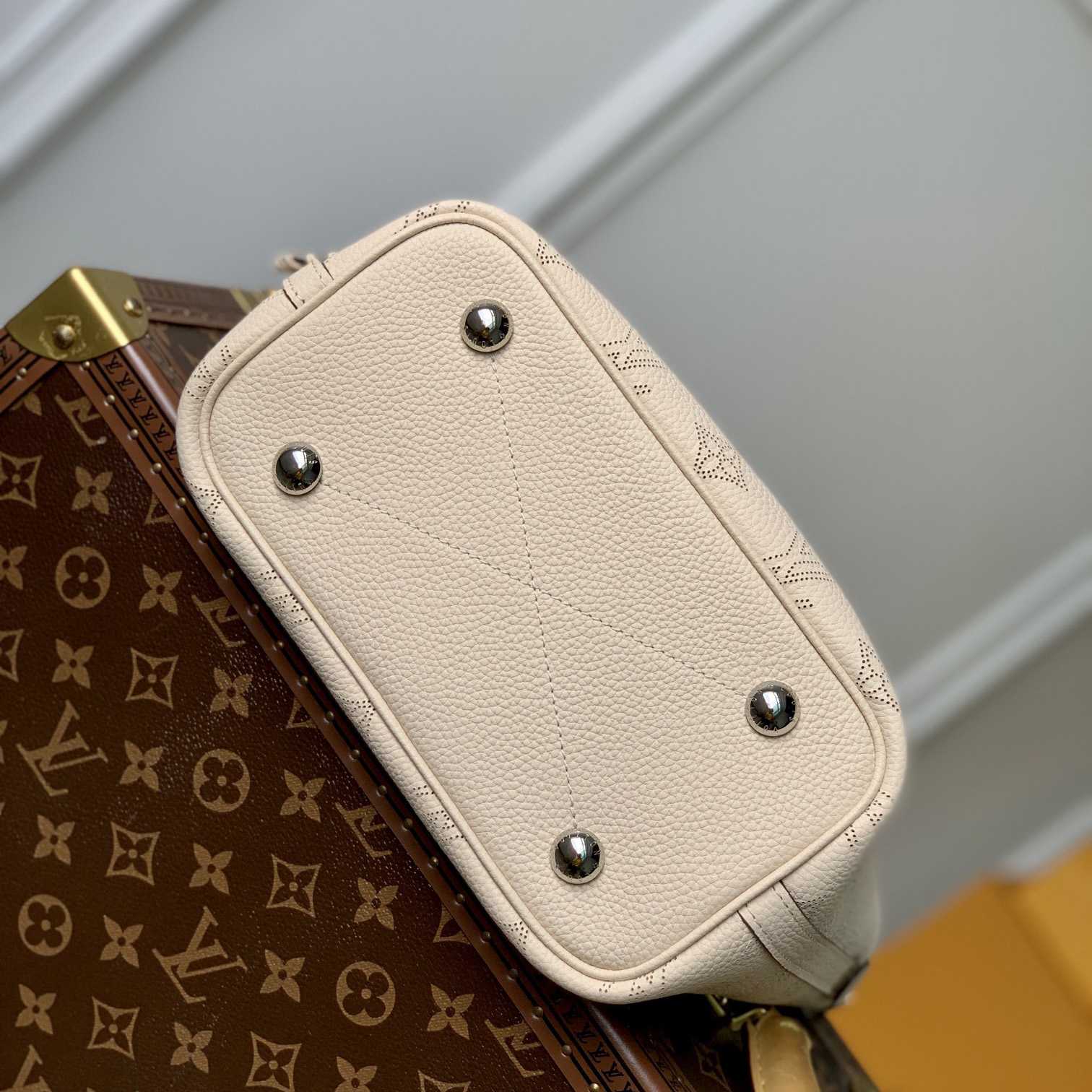 Louis Vuitton Blossom PM   M21909 - FashionPlug