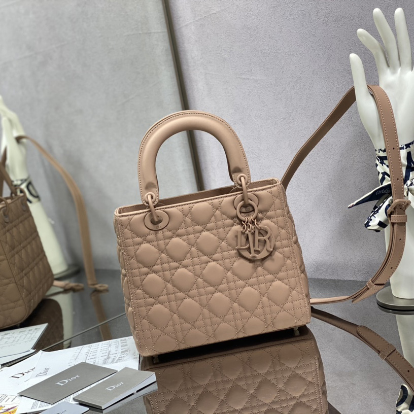 Dior Medium Lady Dior Bag - FashionPlug