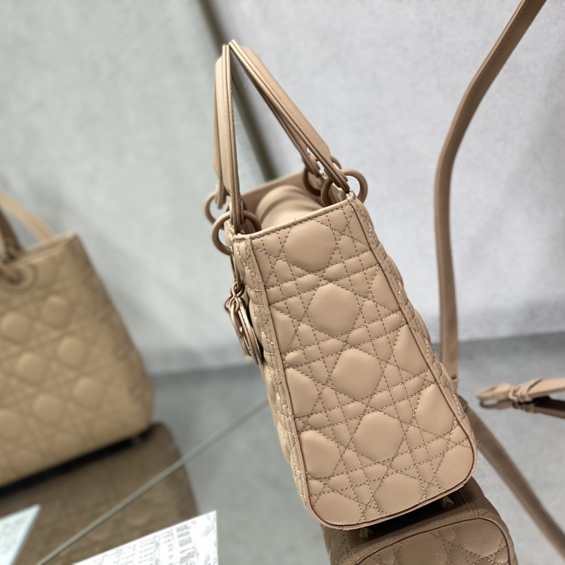 Dior Medium Lady Dior Bag - FashionPlug