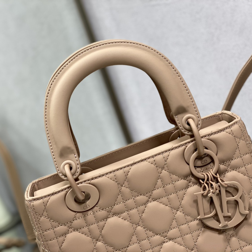 Dior Medium Lady Dior Bag - FashionPlug
