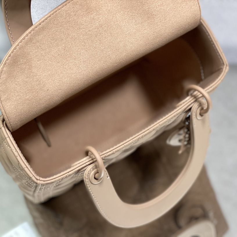Dior Medium Lady Dior Bag - FashionPlug