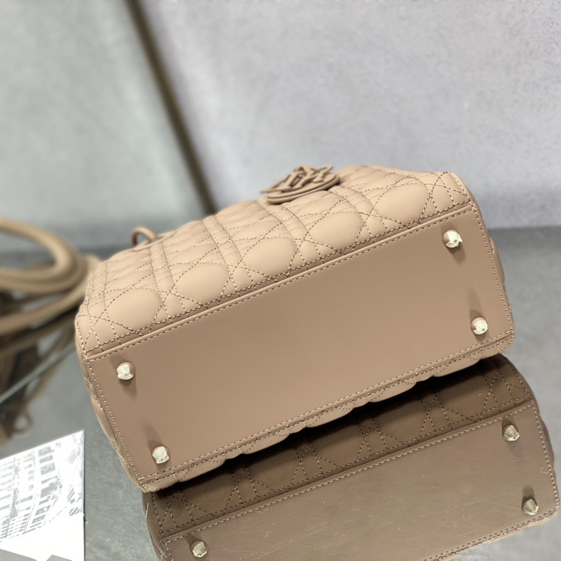 Dior Medium Lady Dior Bag - FashionPlug