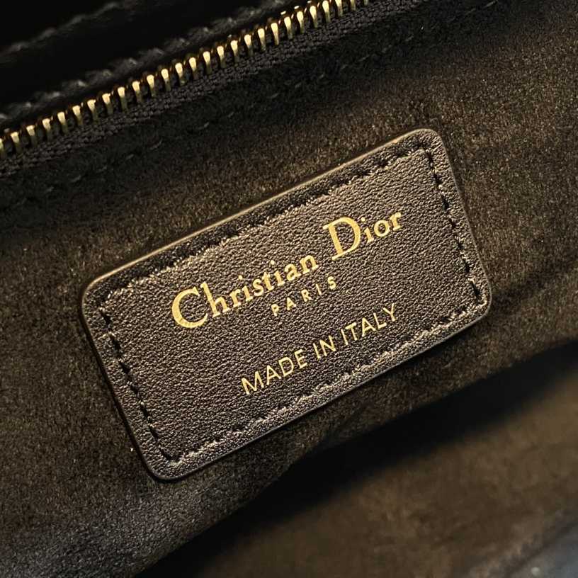 Dior Medium Lady Dior Bag  24cm - FashionPlug
