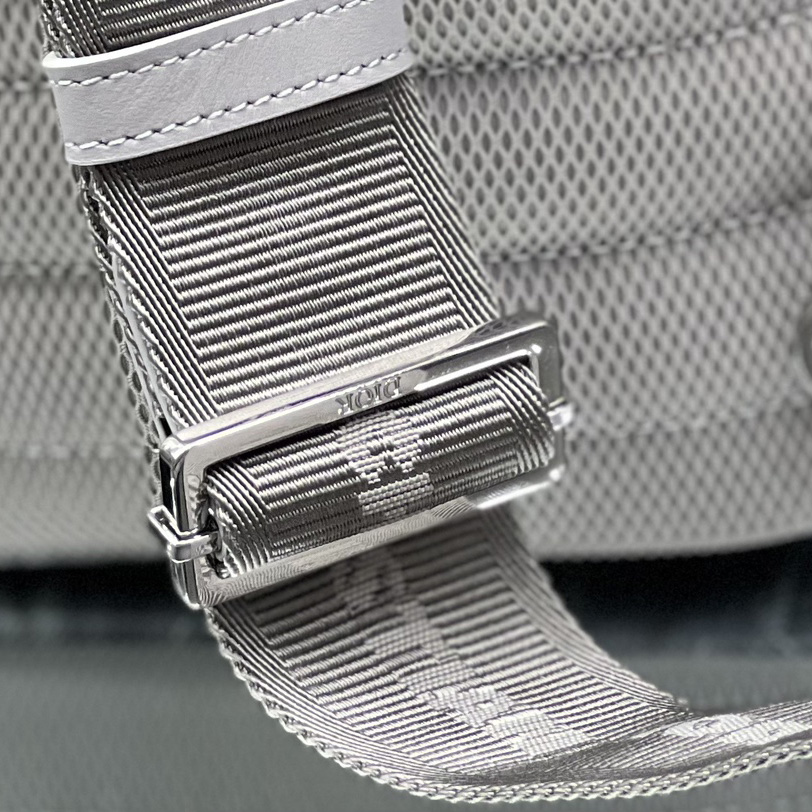Dior Mini Rider Sling Bag - FashionPlug