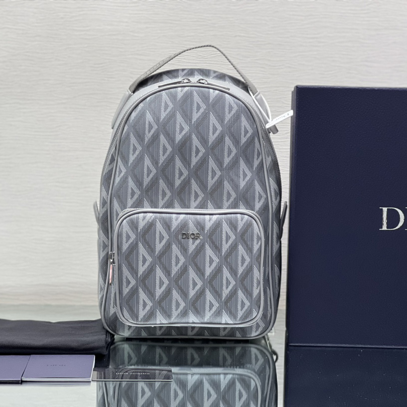 Dior Mini Rider Sling Bag - FashionPlug