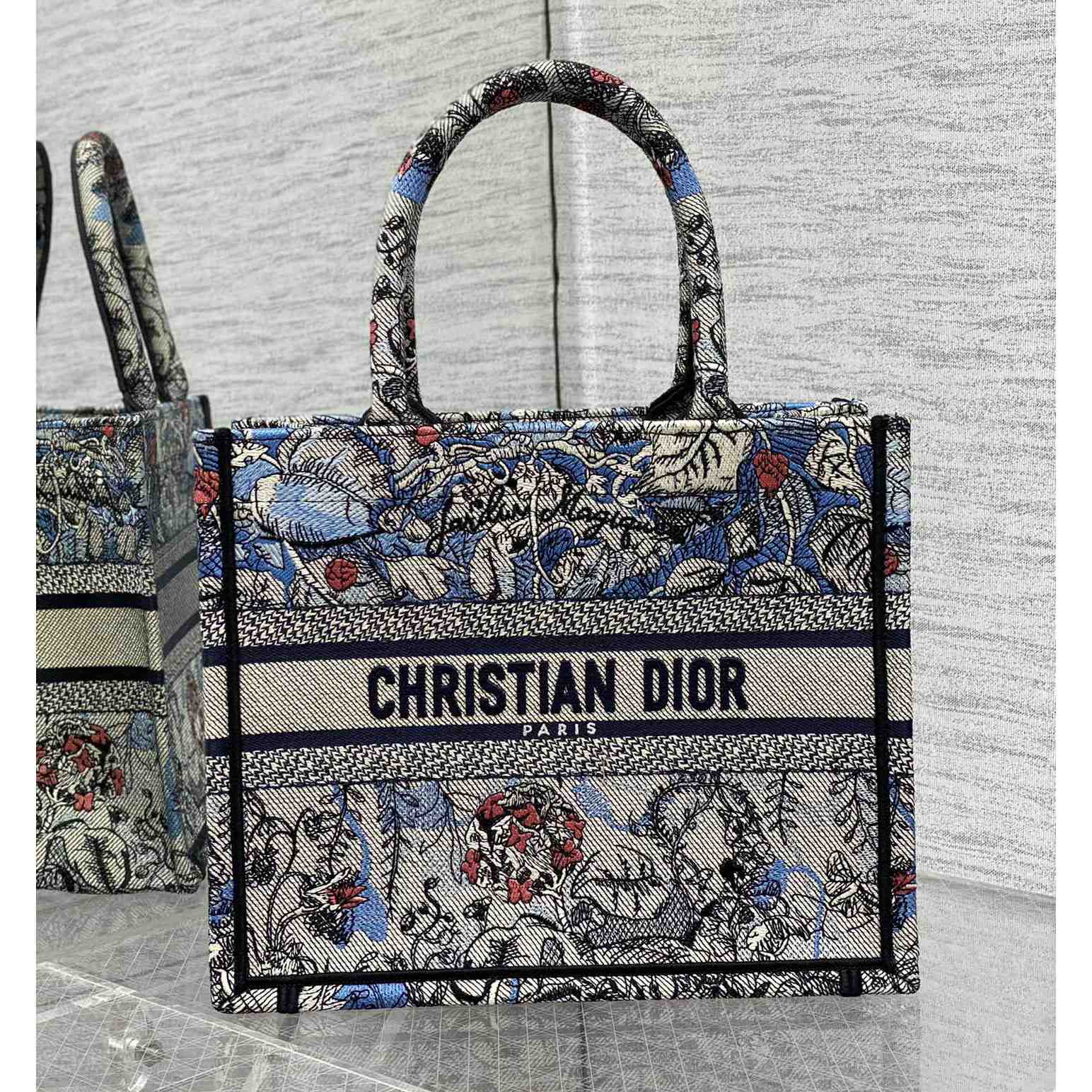 Dior Small Dior Book Tote - FashionPlug