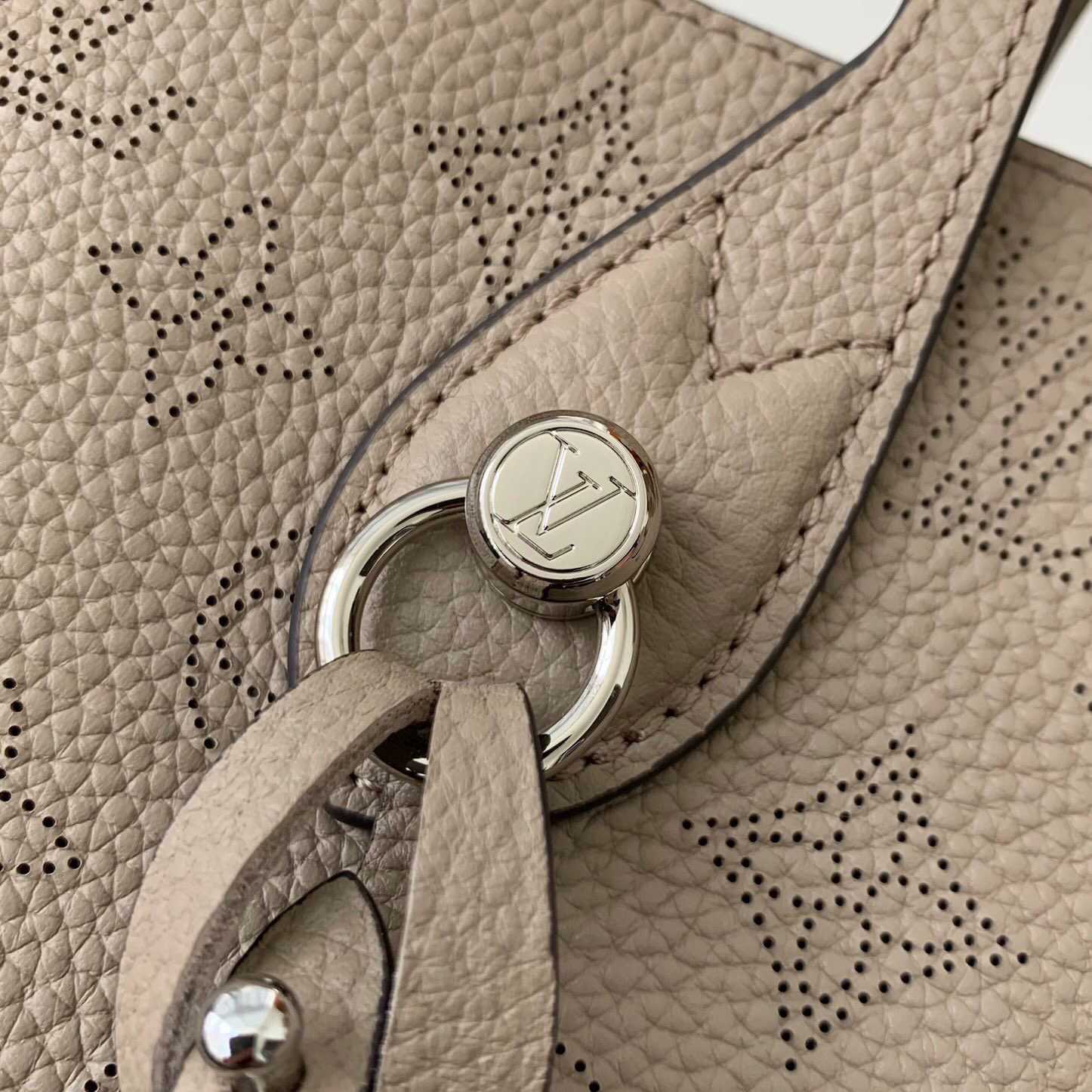 Louis Vuitton Blossom PM   M21849 - FashionPlug