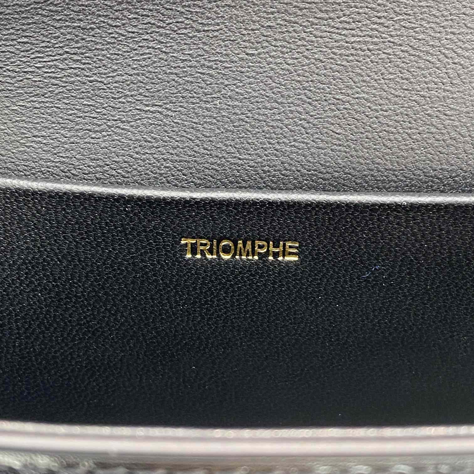 Celine Chain Box Triomphe Bag In Shiny Calfskin - FashionPlug