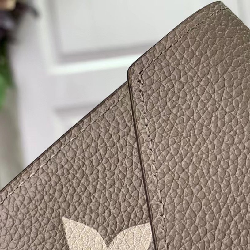 Louis Vuitton Victorine Wallet (12-9.5-1.5cm)  M81861 - FashionPlug