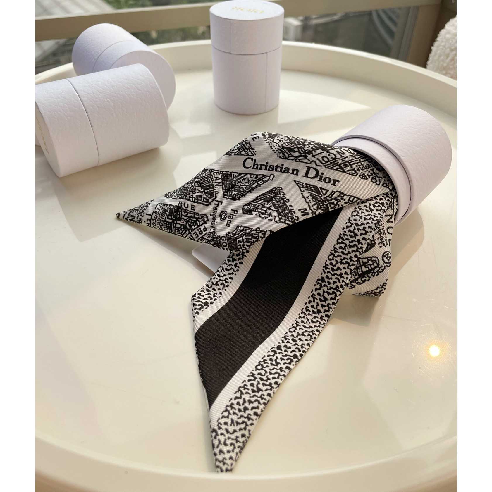 Dior Plan de Paris Mitzah Scarf  - FashionPlug