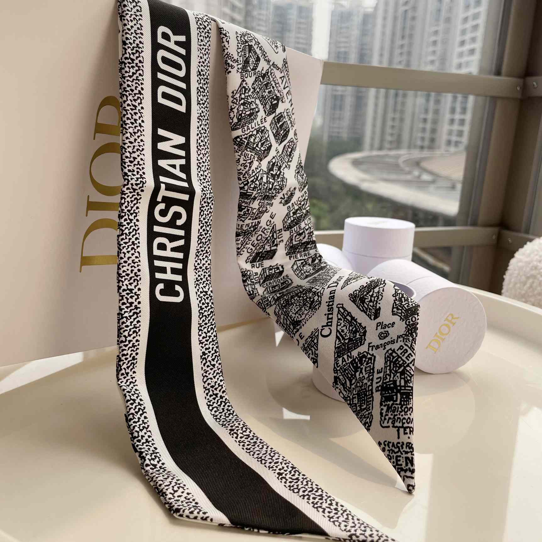 Dior Plan de Paris Mitzah Scarf  - FashionPlug