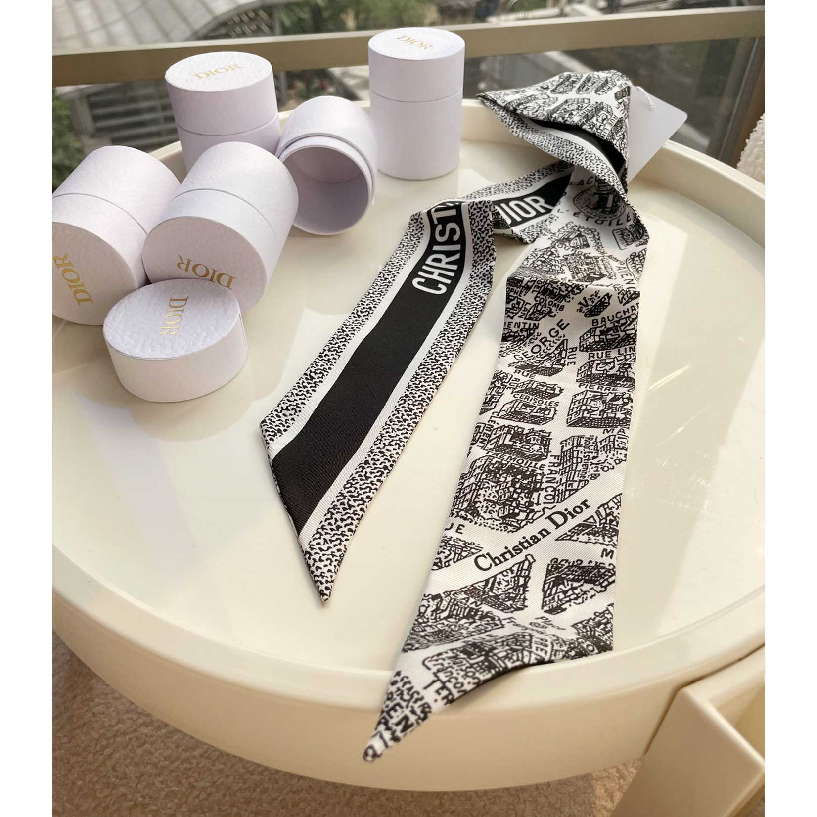Dior Plan de Paris Mitzah Scarf  - FashionPlug