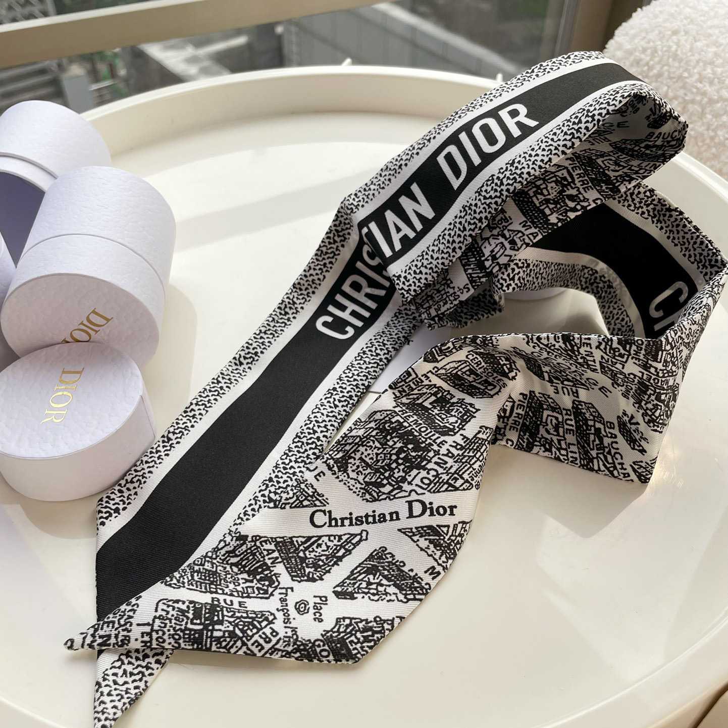 Dior Plan de Paris Mitzah Scarf  - FashionPlug