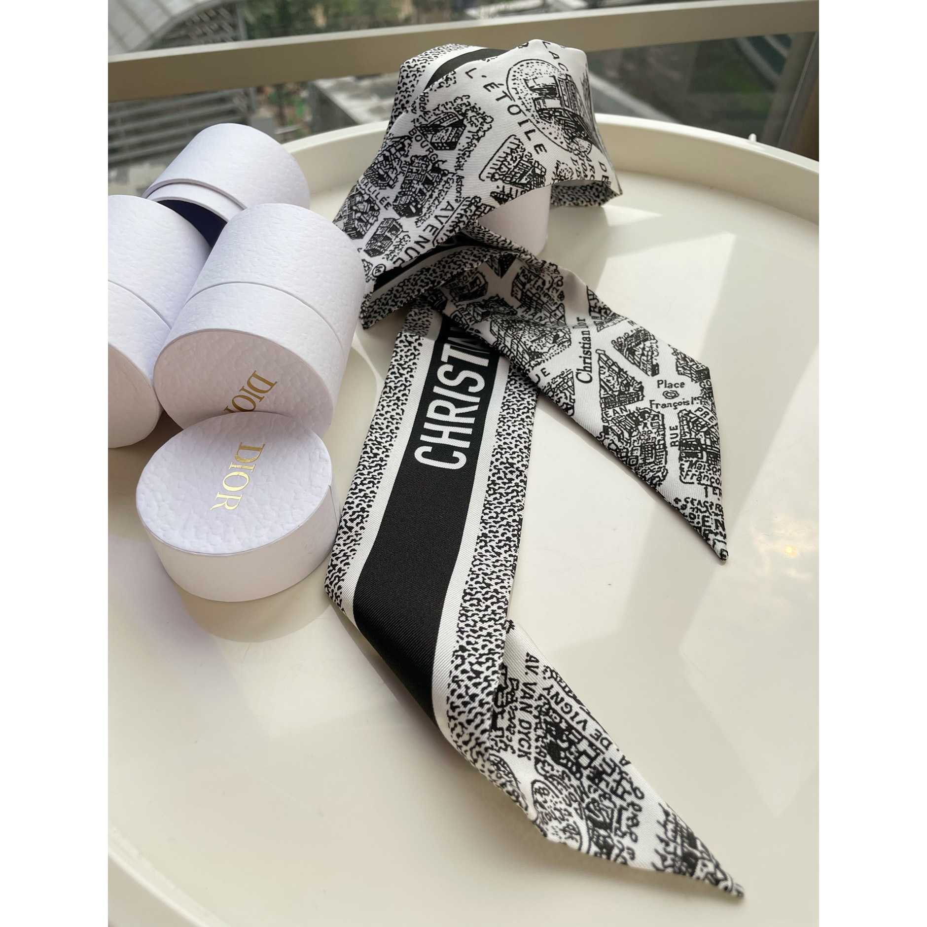 Dior Plan de Paris Mitzah Scarf  - FashionPlug