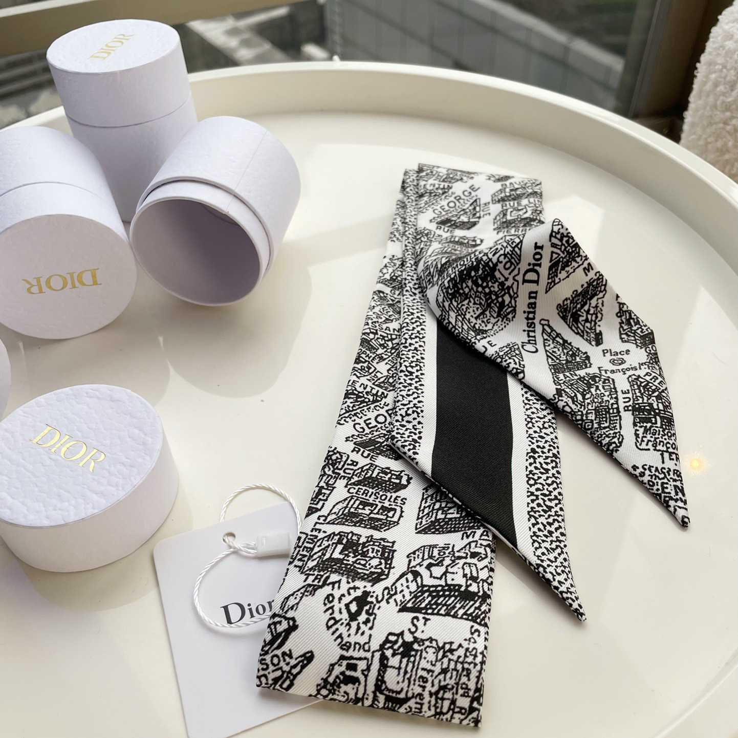 Dior Plan de Paris Mitzah Scarf  - FashionPlug