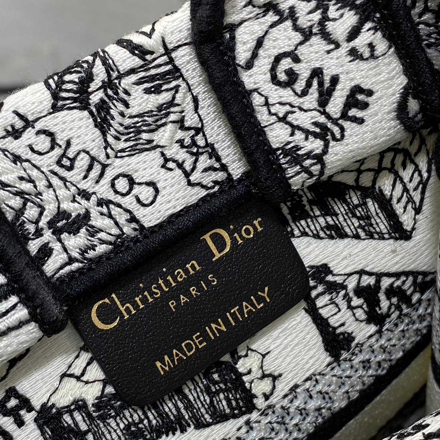Dior Mini Dior Book Tote Phone Bag - FashionPlug