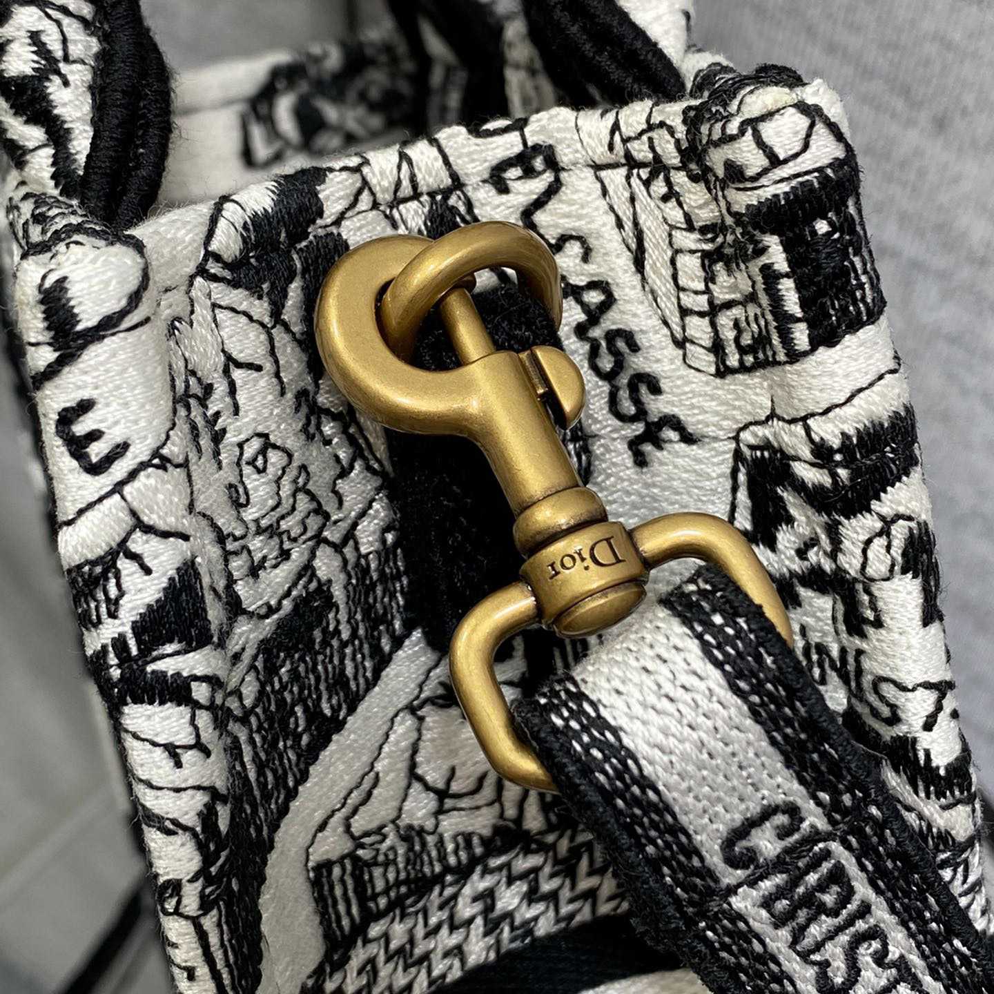 Dior Mini Dior Book Tote Phone Bag - FashionPlug