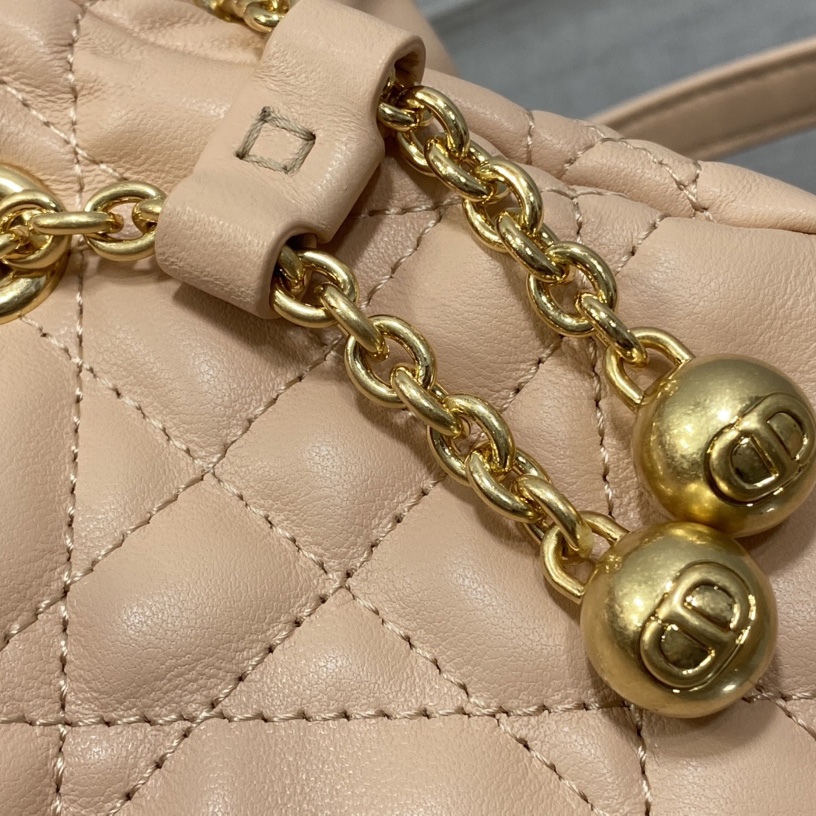 Dior Medium Dior Ammi Bag - FashionPlug