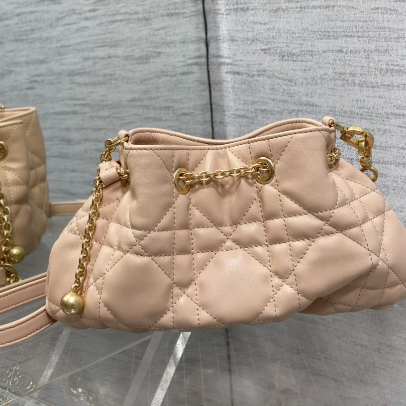 Dior Medium Dior Ammi Bag - FashionPlug