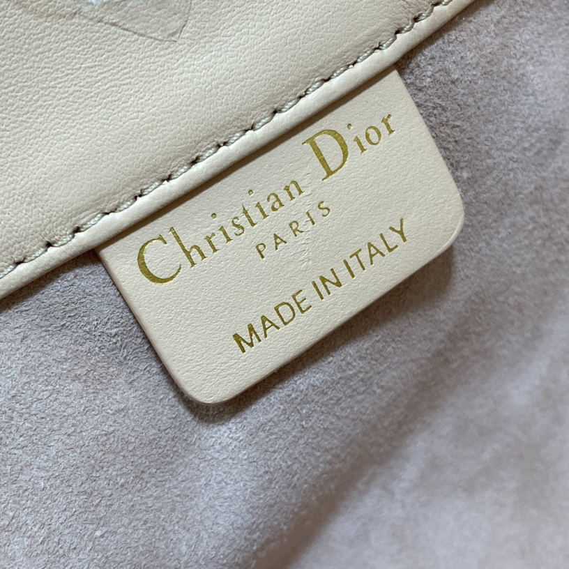 Dior Medium Dior Ammi Bag - FashionPlug