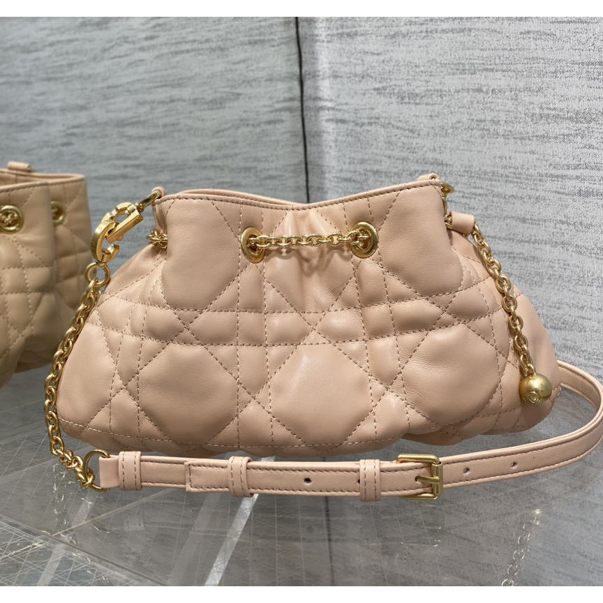 Dior Medium Dior Ammi Bag - FashionPlug