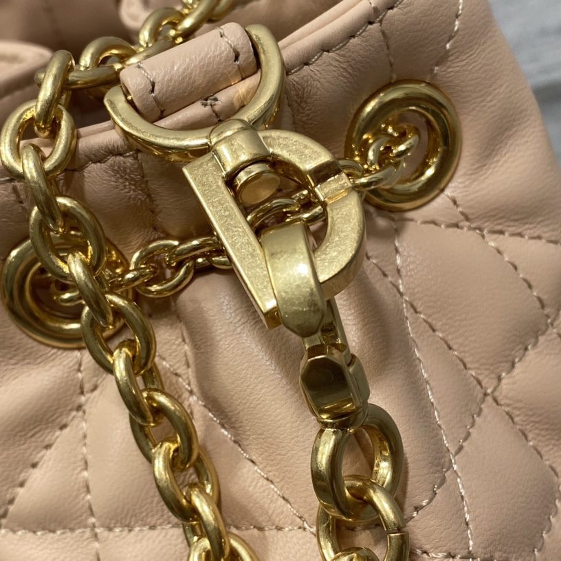 Dior Medium Dior Ammi Bag - FashionPlug