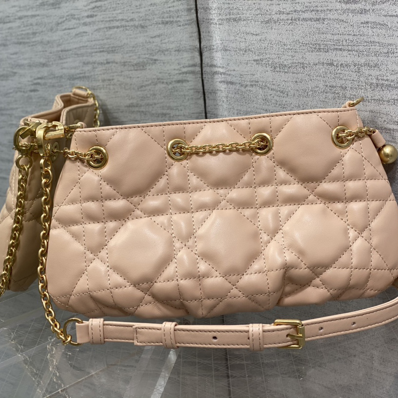 Dior Medium Dior Ammi Bag - FashionPlug