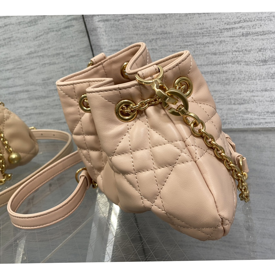 Dior Medium Dior Ammi Bag - FashionPlug