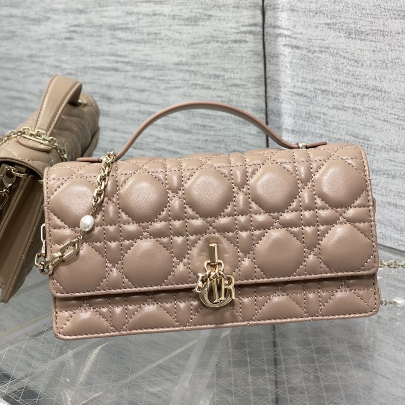 Dior Miss Dior Mini Bag - FashionPlug