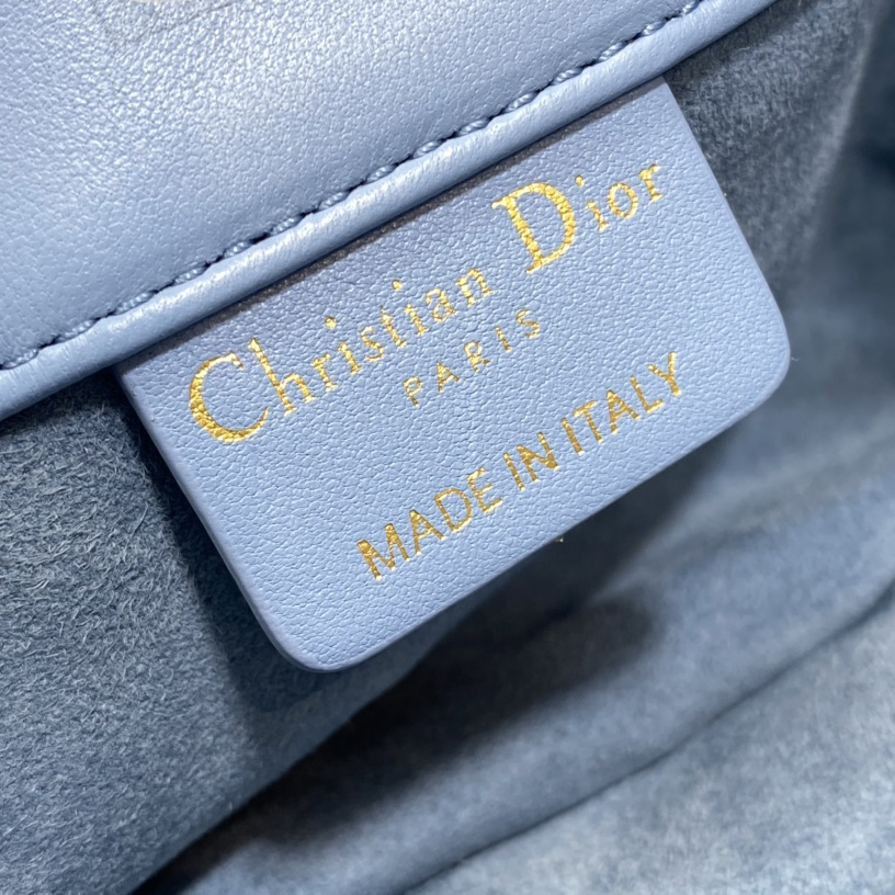 Dior Medium Dior Ammi Bag - FashionPlug