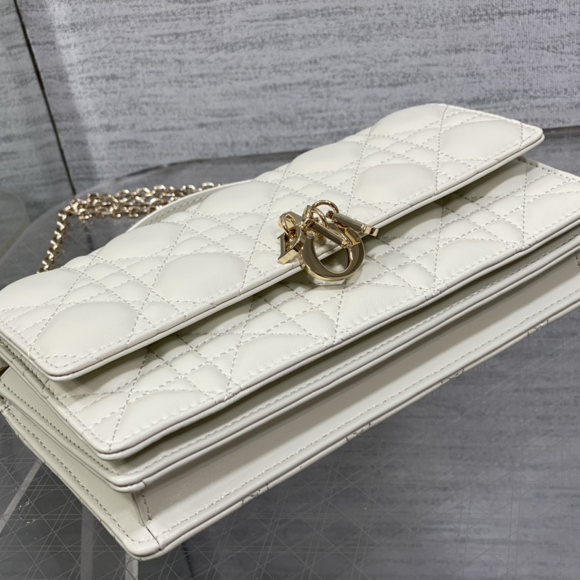 Dior Miss Dior Mini Bag - FashionPlug