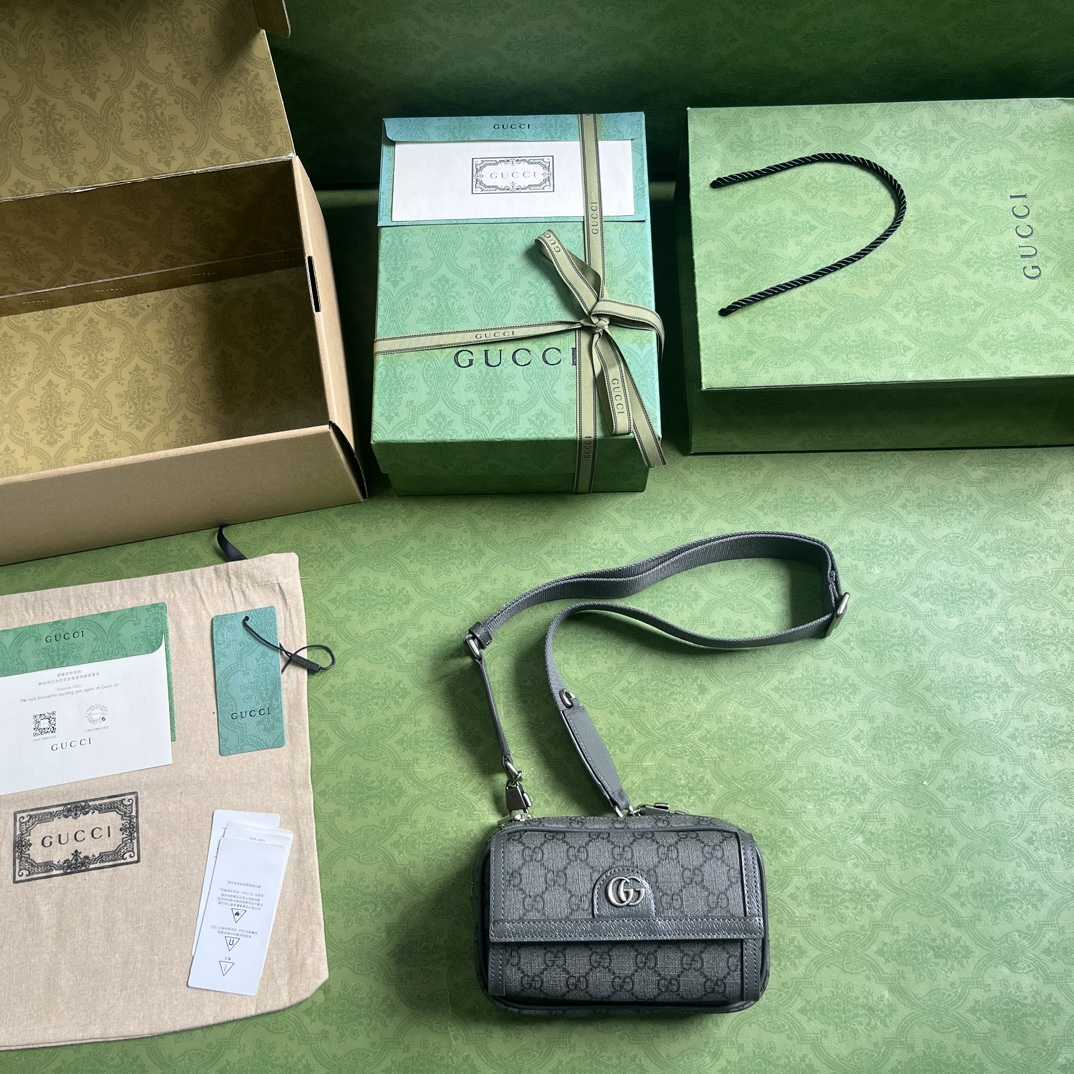 Gucci Ophidia GG Mini Bag(20-12.5-9cm)    - FashionPlug