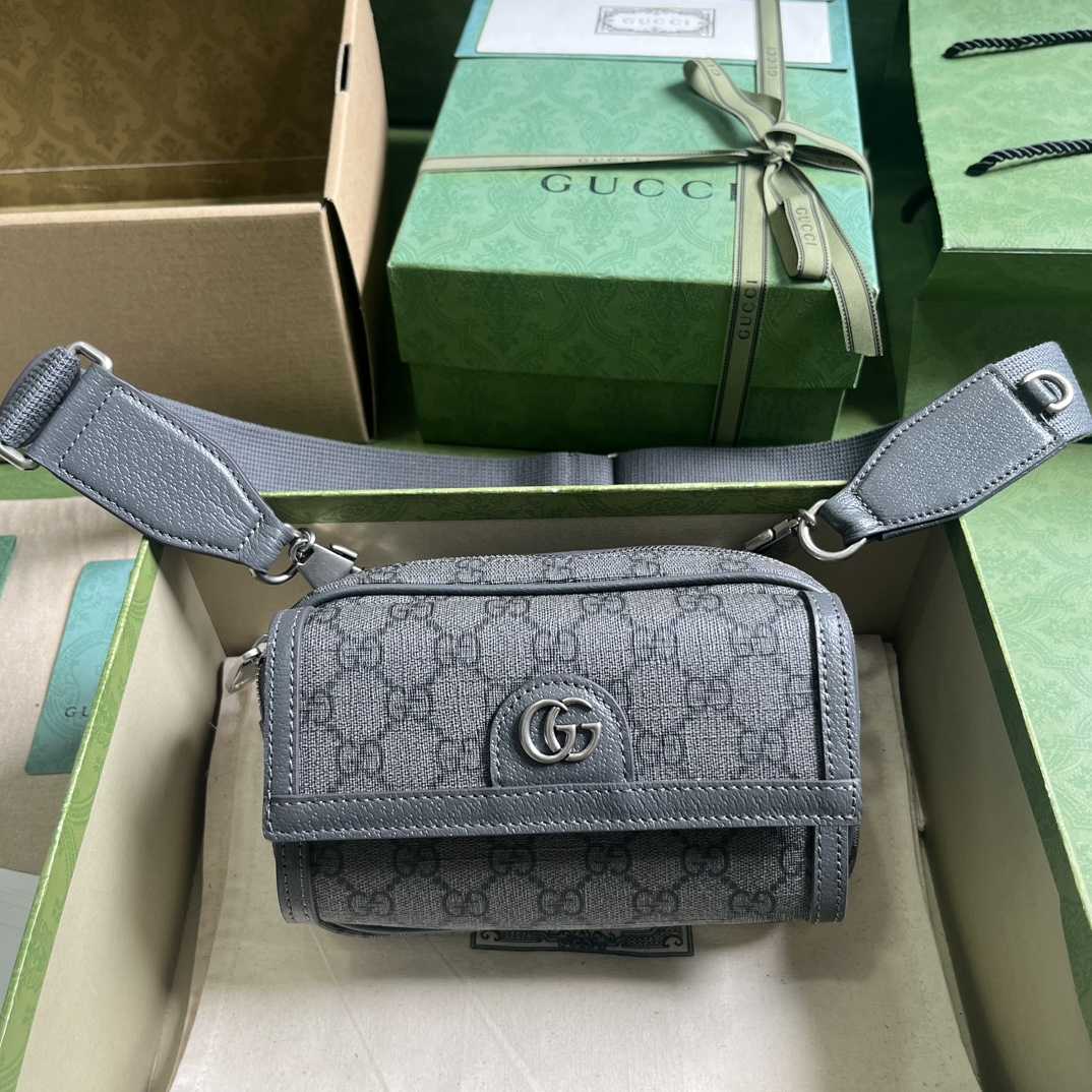 Gucci Ophidia GG Mini Bag(20-12.5-9cm)    - FashionPlug