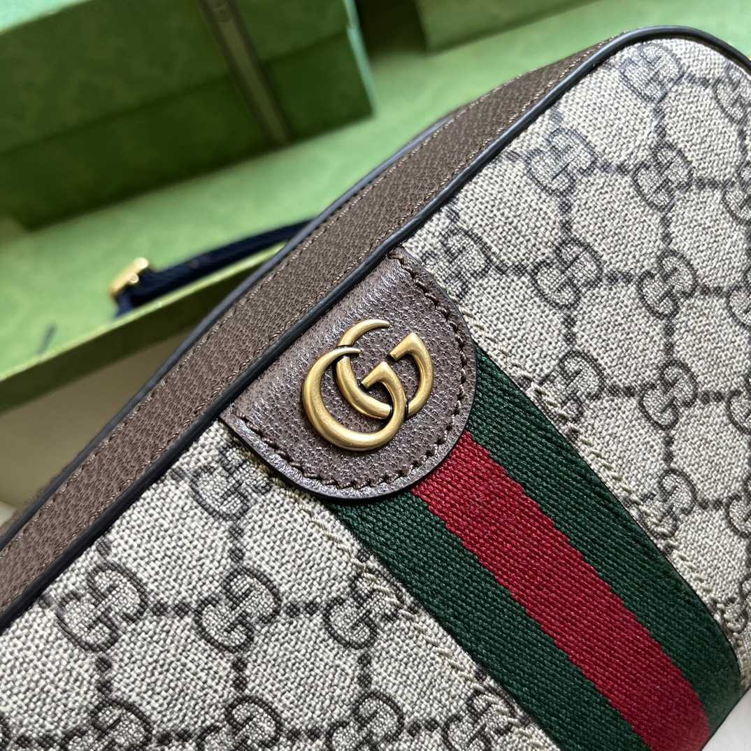 Gucci Ophidia GG Small Shoulder Bag (23.9x 15.2x 6.9cm) - FashionPlug