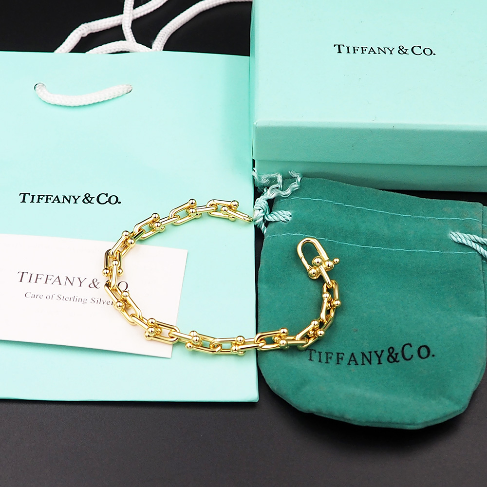 Tiffany&CO Small Link Bracelet - FashionPlug