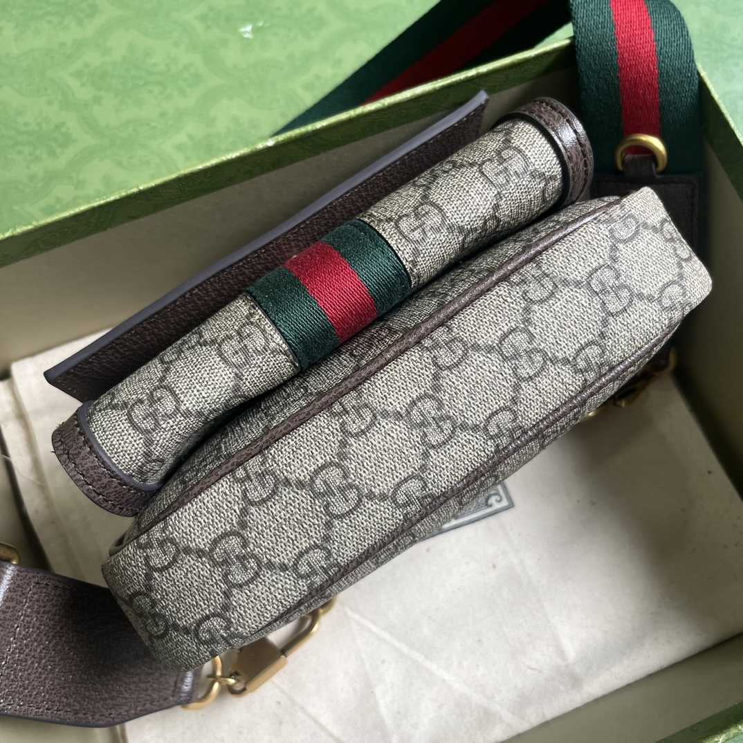 Gucci Ophidia GG Mini Bag(20-12.5-9cm)    - FashionPlug