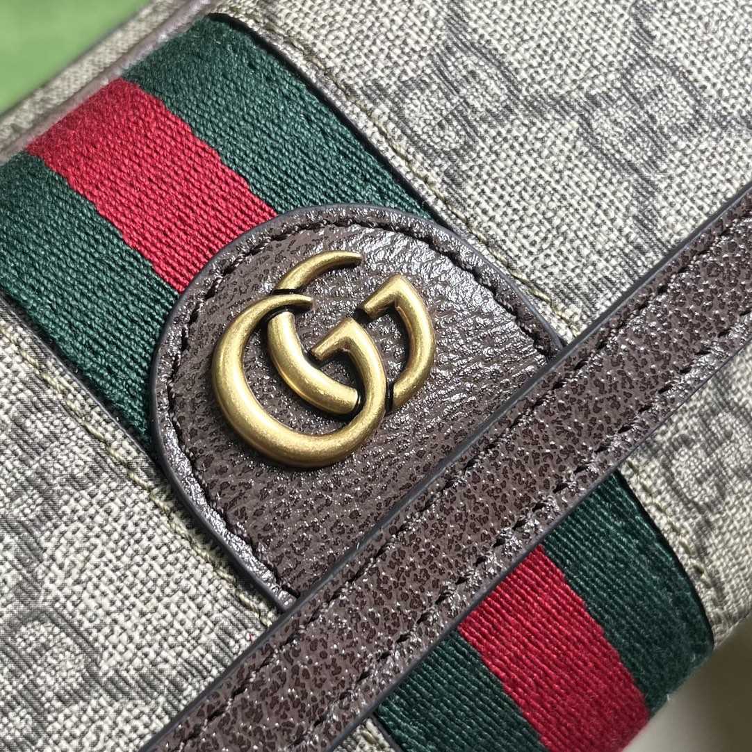 Gucci Ophidia GG Mini Bag(20-12.5-9cm)    - FashionPlug