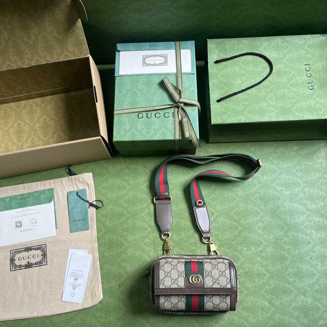 Gucci Ophidia GG Mini Bag(20-12.5-9cm)    - FashionPlug