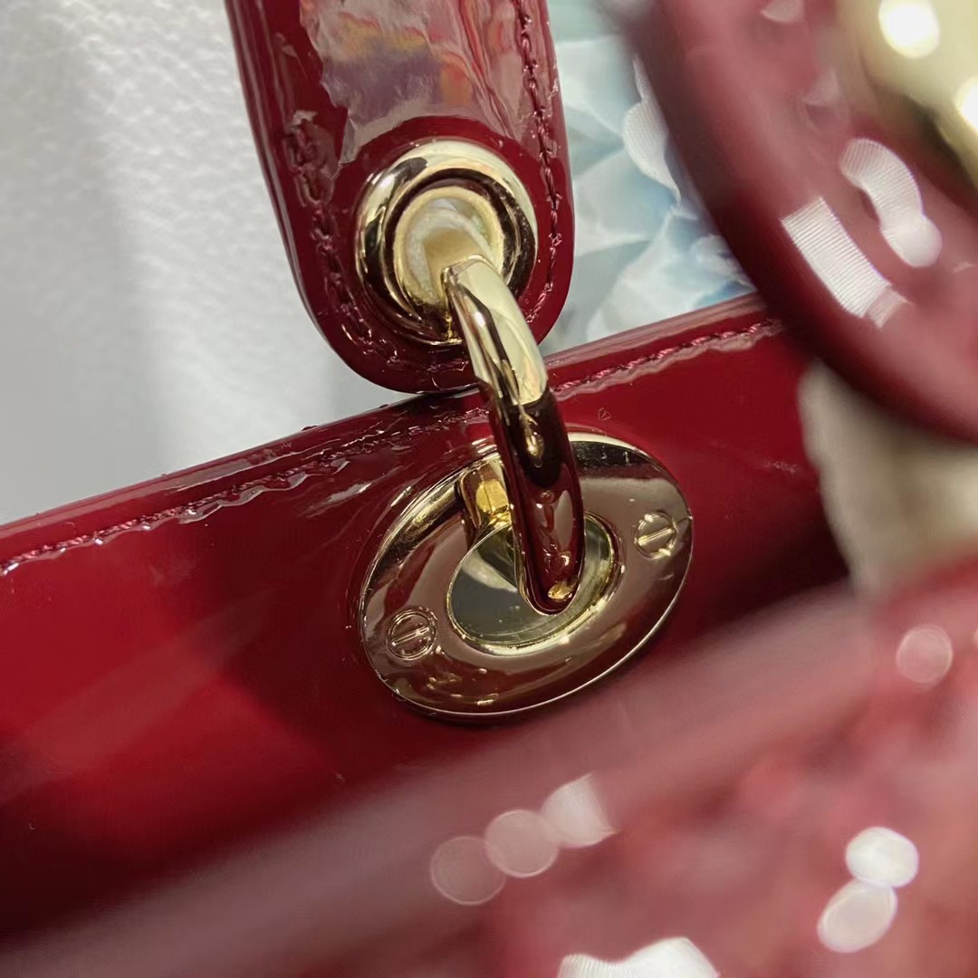 Dior Lady Dior Bag(20-16.5-8cm) - FashionPlug