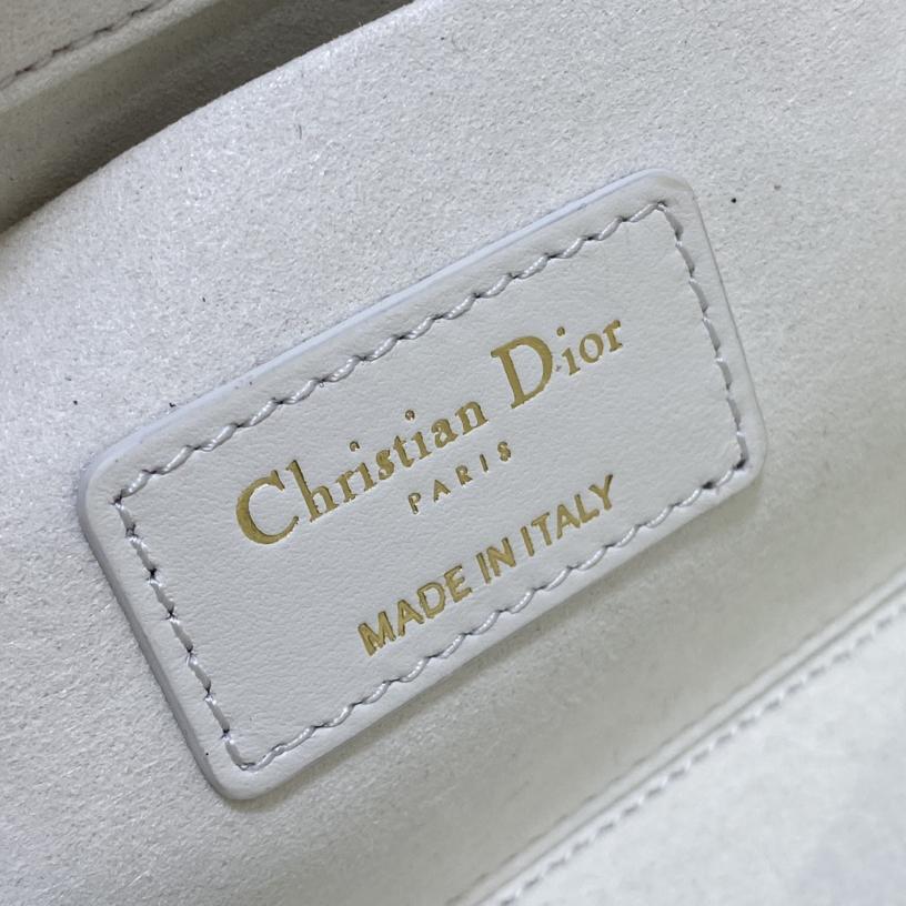 Dior Medium Lady D-Joy Bag - FashionPlug