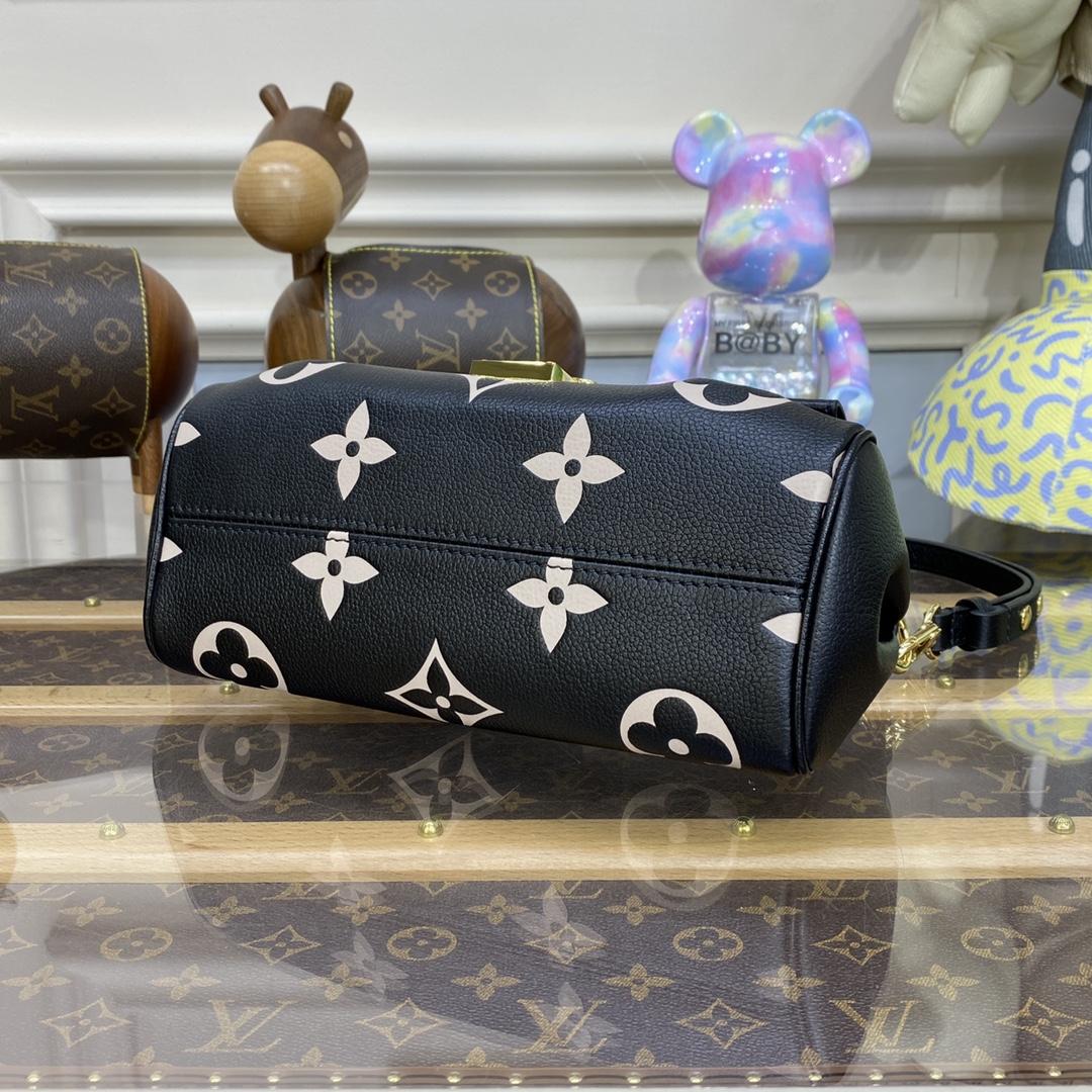 Louis Vuitton Favorite(24 x 14 x 9cm)    M45859 - FashionPlug