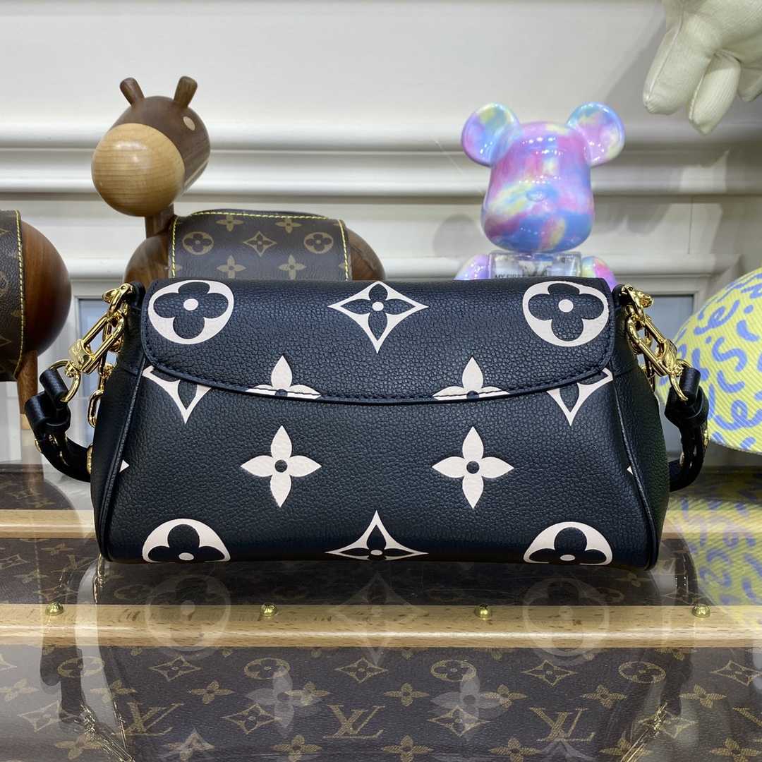 Louis Vuitton Favorite(24 x 14 x 9cm)    M45859 - FashionPlug